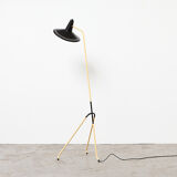 Rare Dutch Floor Lamp 1950s