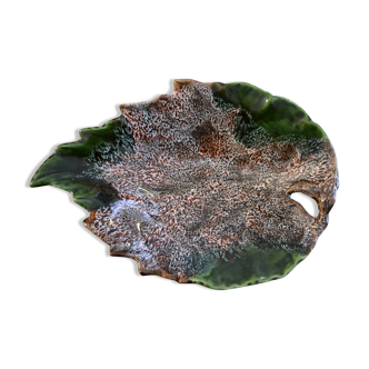 Flat leaf Valauris