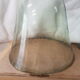 Cloche de jardin