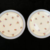 Porcelain pie service of limoges 50 years