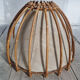 Paire abats jour, rotin, vintage, années 60