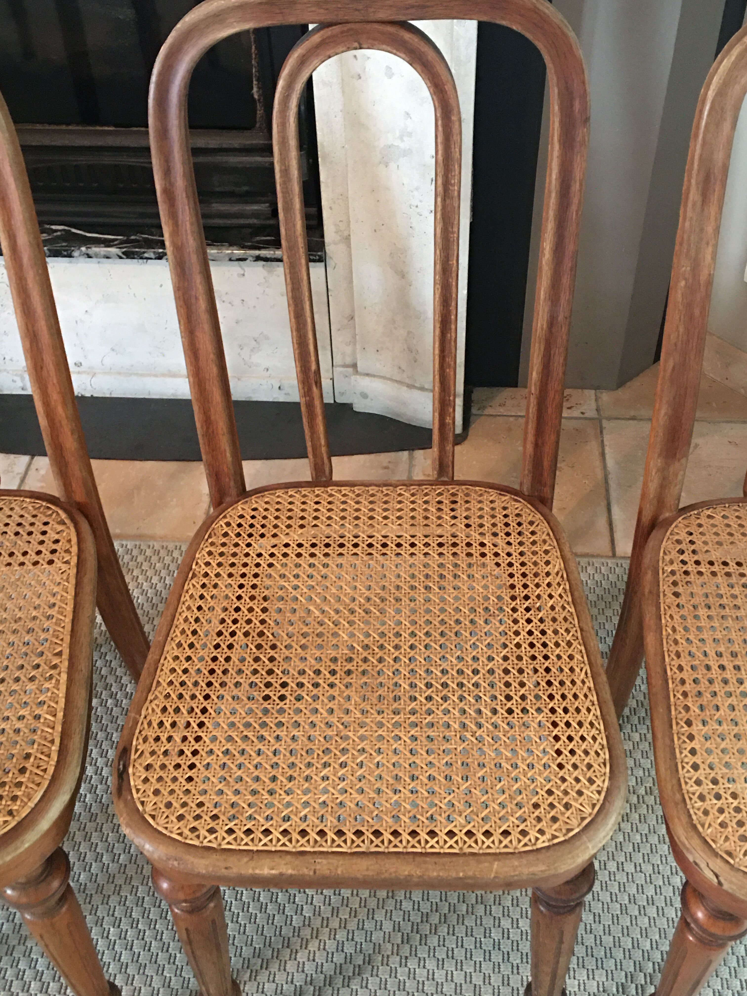 4 Thonet chairs N41
