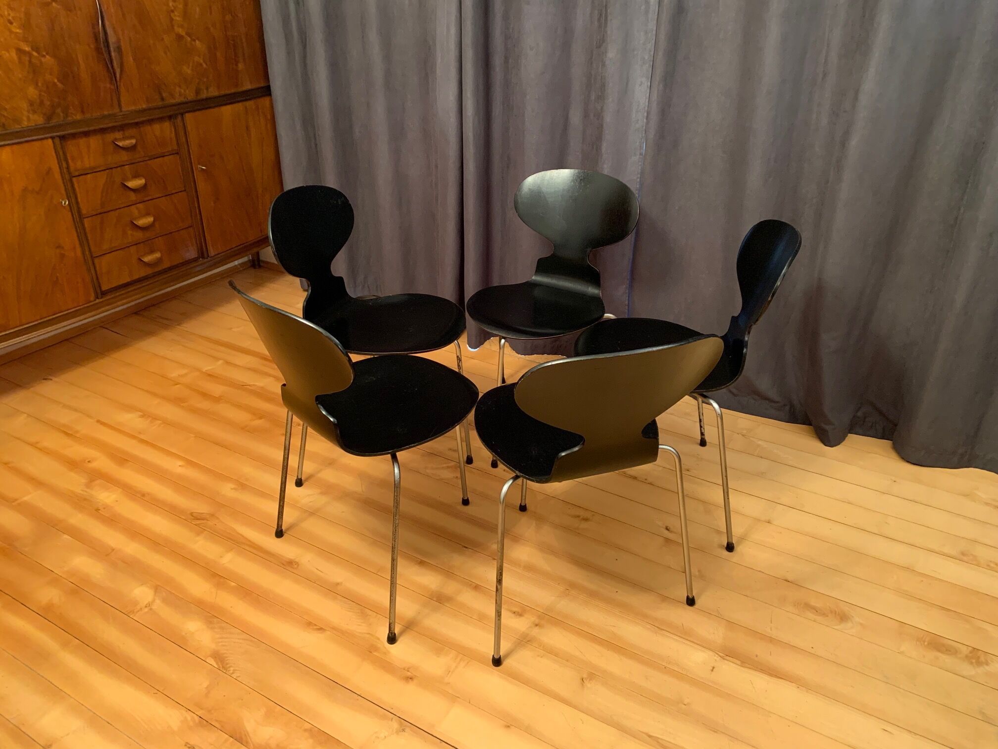 A set of five chairs Early model 3100 by Arne Jacobsen, Fritz Hansen, Denmark, 1963