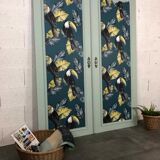 Pair of antique cabinet doors