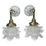 Paire d’appliques murales tulipes fleurs