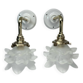 Paire d’appliques murales tulipes fleurs
