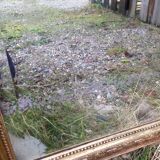 Wooden fireplace mirror and Gilded Louis XVI-style plaster with leaf