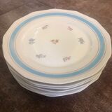 Set of 6 old flat plates with flower pattern