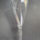 Conical foot glasses (6) - art nouveau - plain light blown crystal
