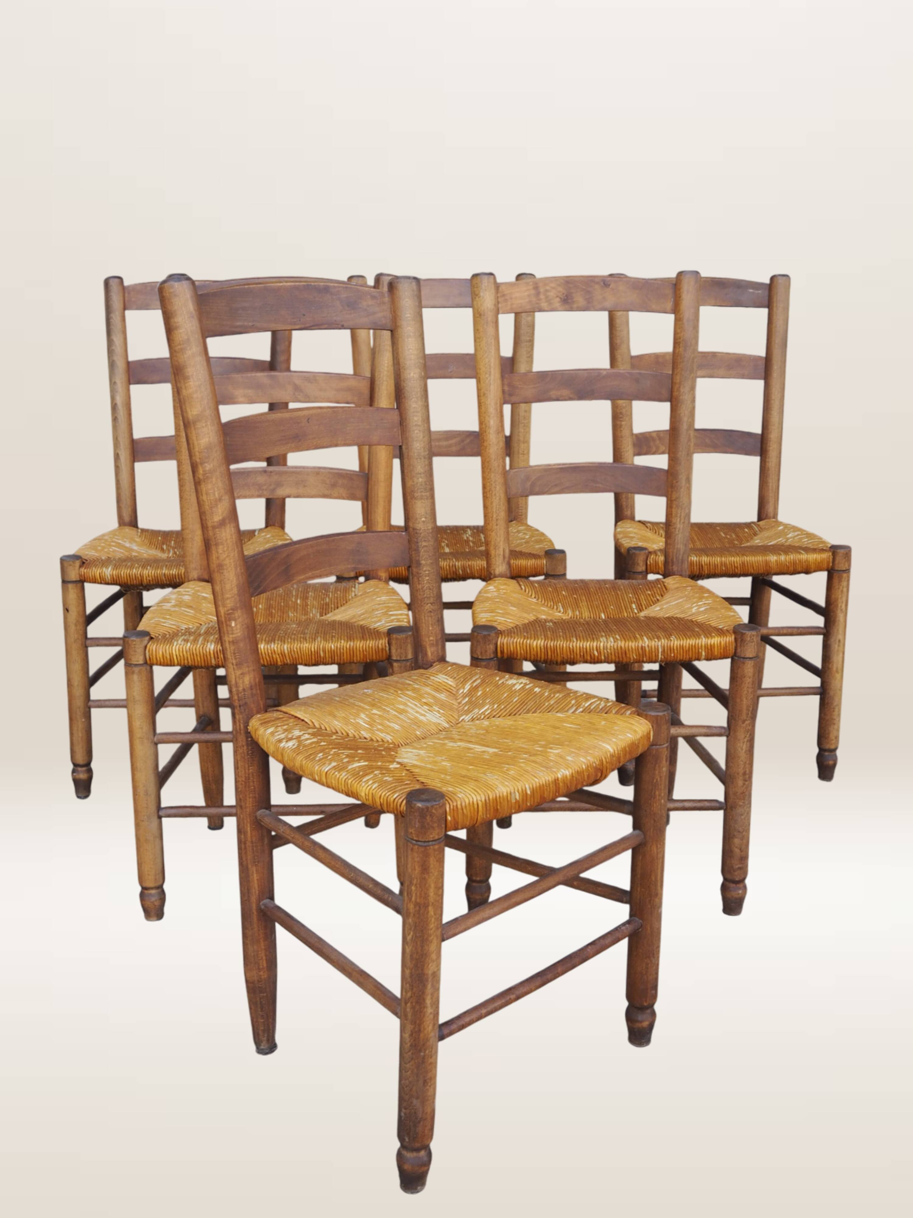 Set of six rush-seated ladderback chairs.