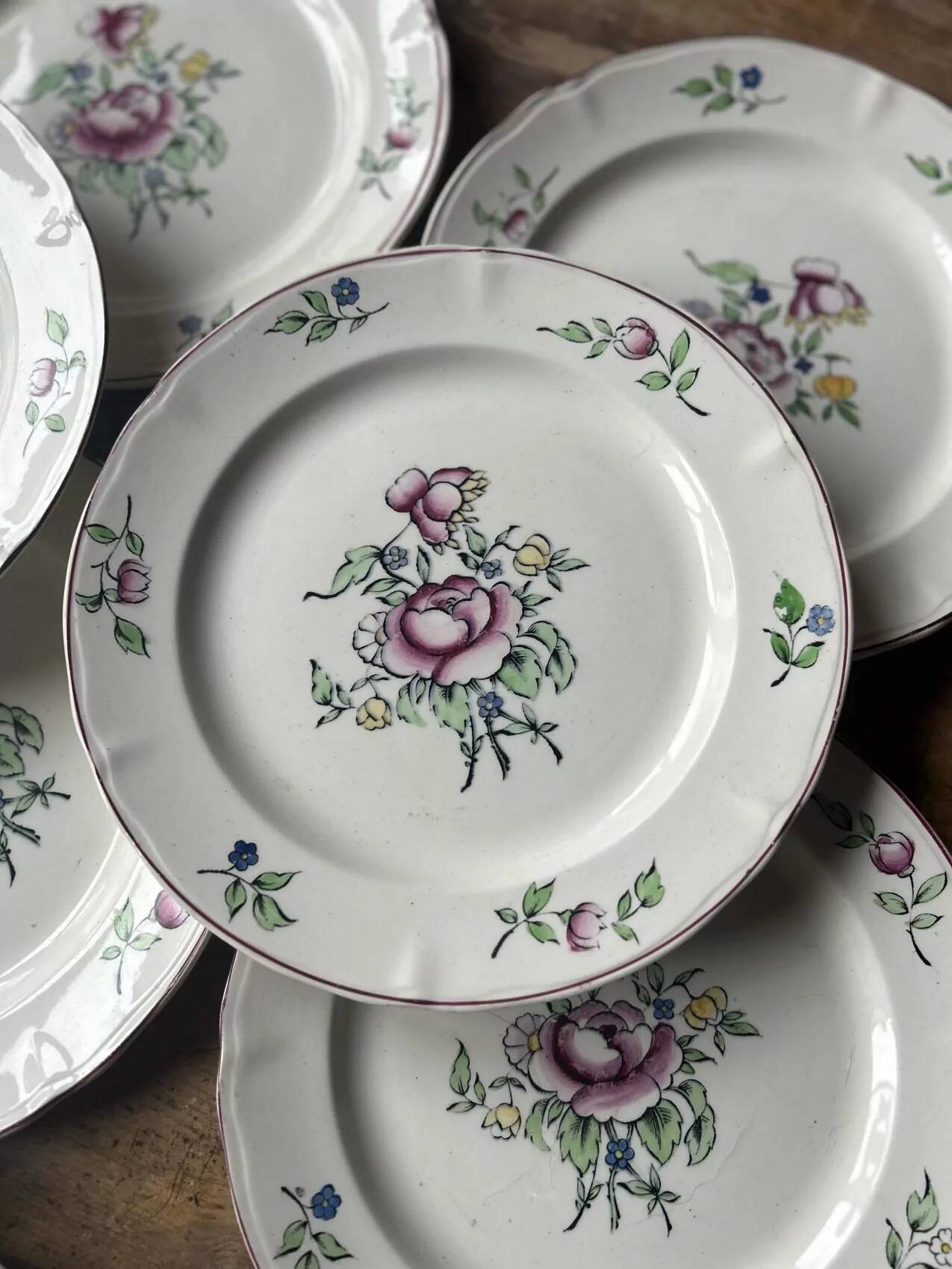 Set of 10 flat plates Villeroy & Boch – bucolic design – 24.5 cm