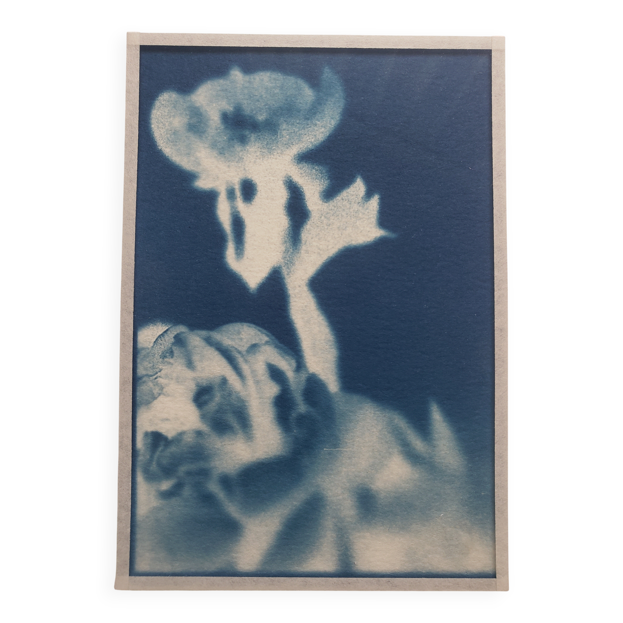 Cyanotype frame