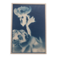 Cyanotype frame