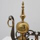 Pair of French Brass Firedogs and Wrought Iron Fireplace Grate, 20th Centur