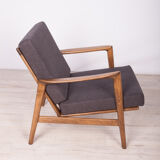 Model 300-139 Armchair from Swarzędzka Factory, 1960s