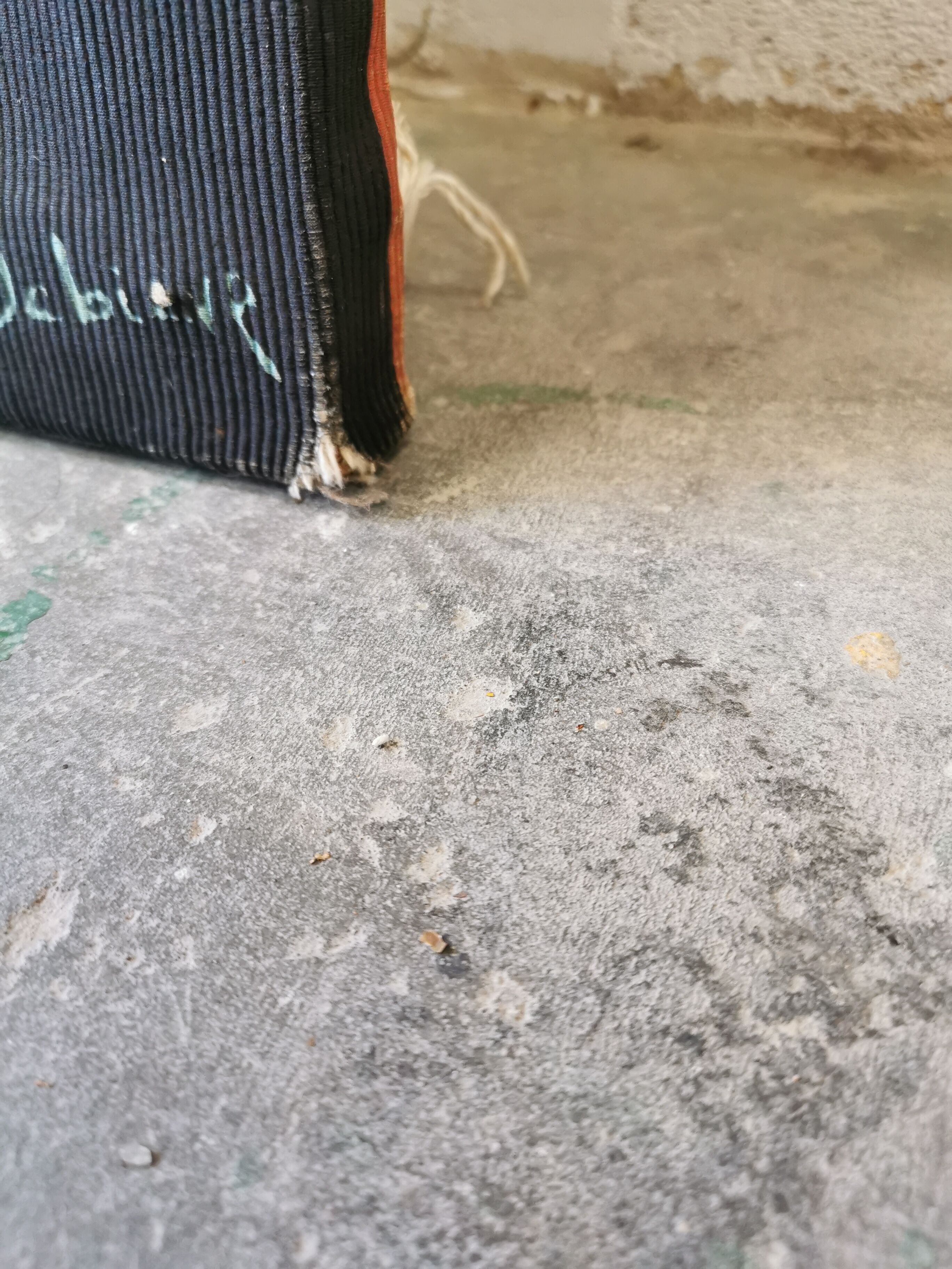 Robert Debieve tapestry