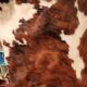 Very large and very beautiful genuine cowhide