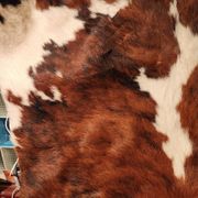 Very large and very beautiful genuine cowhide