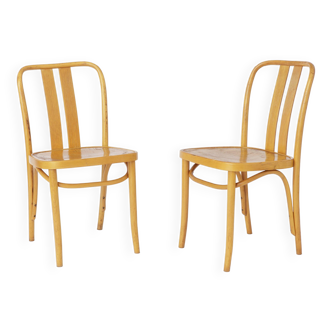 2 Vintage IKEA Chairs Lena by Radomsko 1970s Bentwood