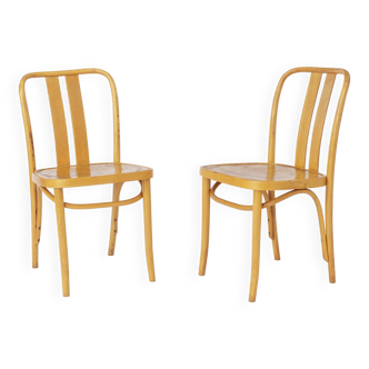 2 chaises vintage IKEA Lena par Radomsko 1970 Bois courbé