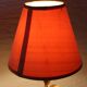Paire de lampes "fleurs"