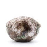 Ceramic shell emptier by Kostanda, Vallauris, 1960s