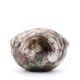 Ceramic shell emptier by Kostanda, Vallauris, 1960s