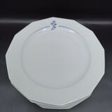 7 flat plates Winterling Kirchenlamitz - Veronica