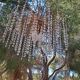 Vintage Italian Waterfall Chandelier