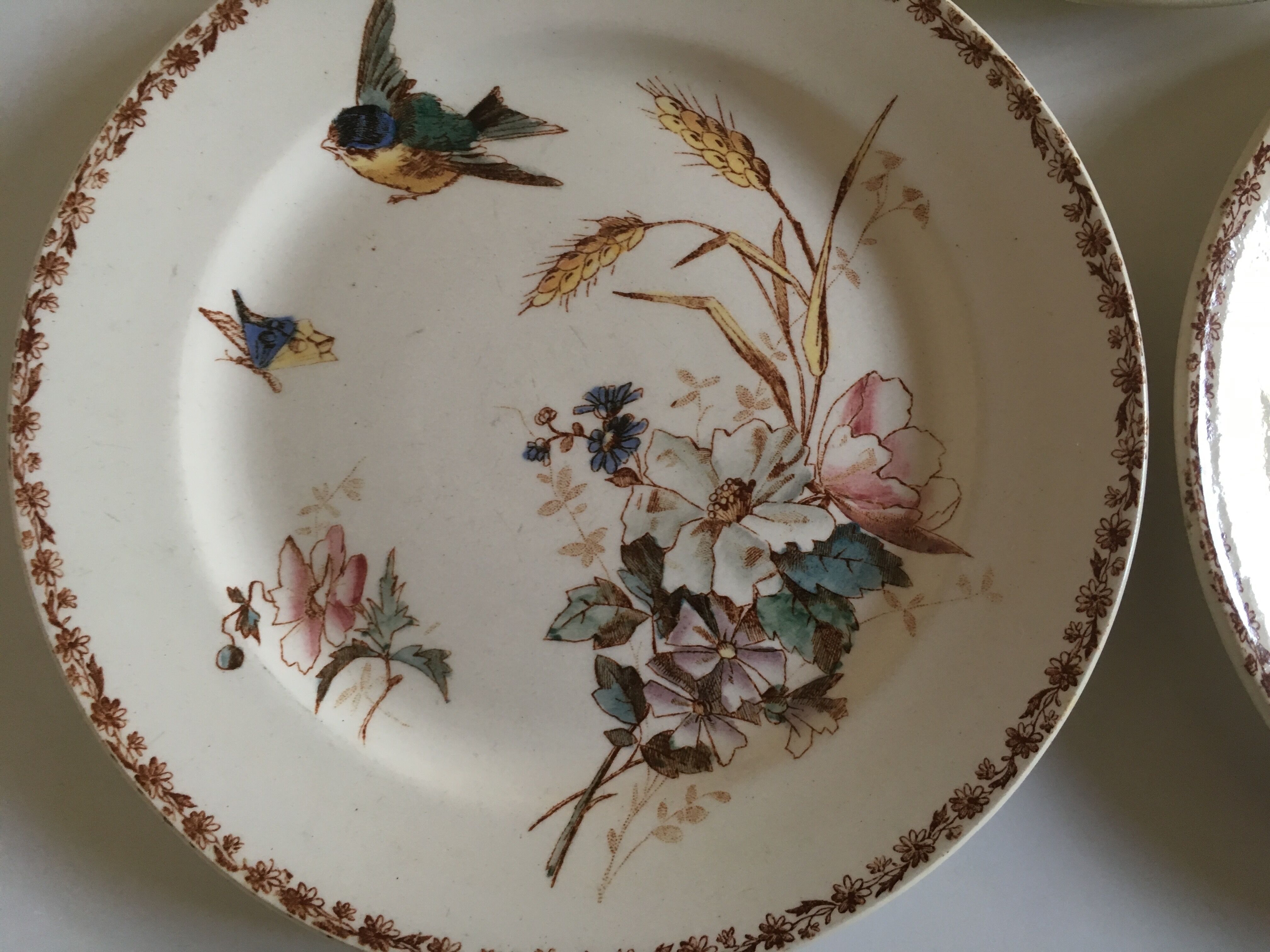 Set of plates made of iron earth 19th flowers and birds