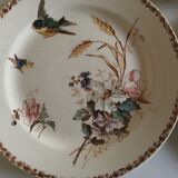 Set of plates made of iron earth 19th flowers and birds