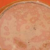 Alsatian pottery serving dish ref: 19 diameter: 315m weight: 1kg330