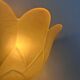 Pair of vintage wall lights, pink sandblasted glass, France 1970
