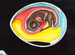 🔎Affiche murale de l’école de Jung-Koch-Quentell "poulet" 1971