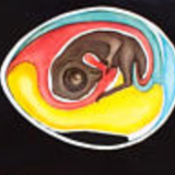 🔎 Jung Koch Quentell school poster "chicken" 1971