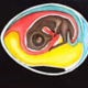 🔎 Jung Koch Quentell school poster "chicken" 1971