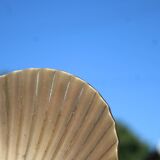 Vintage brass shell tray