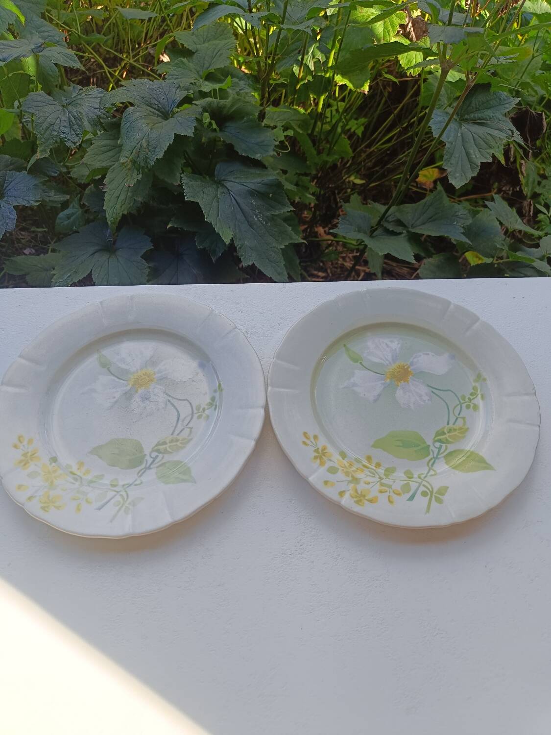 Pair of K&G Lunéville plates, Clématite model