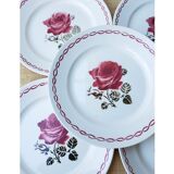 Set of 6 flat plates