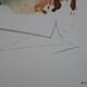 Salvador Dali : Les Chevaux, Bucéphale - Lithographie signée