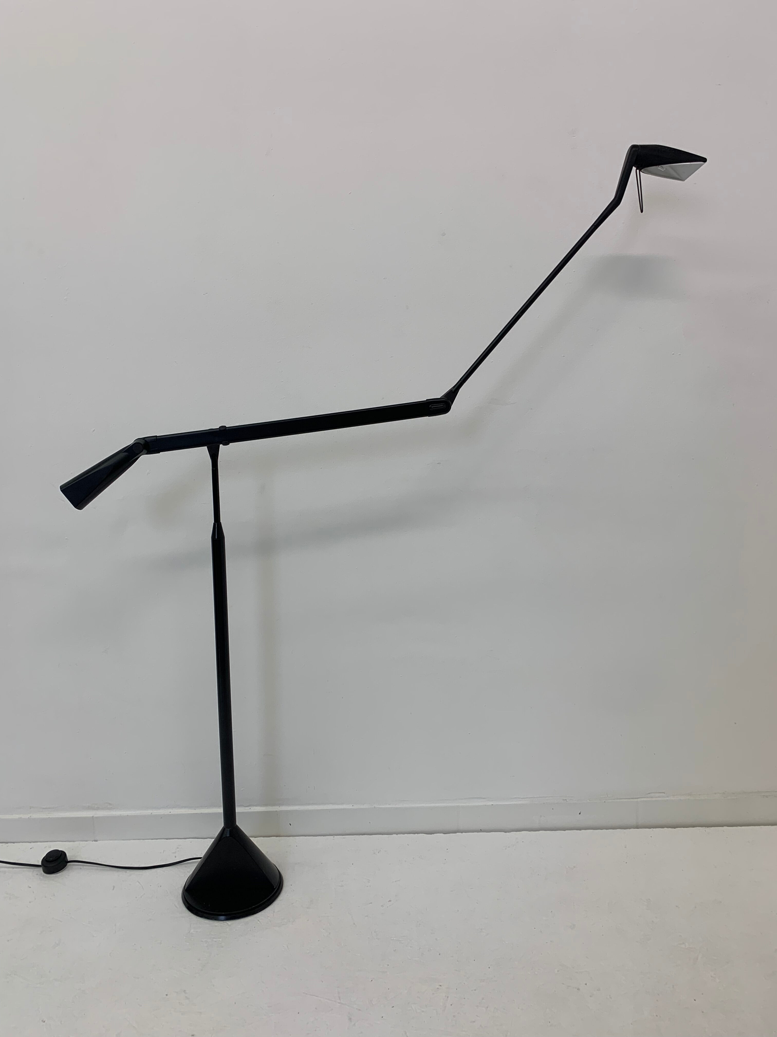 Zelig Terra Floor Lamp by Walter Monici for Lumina, 1980s