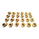 Set of 24 fire ceramic snail shells