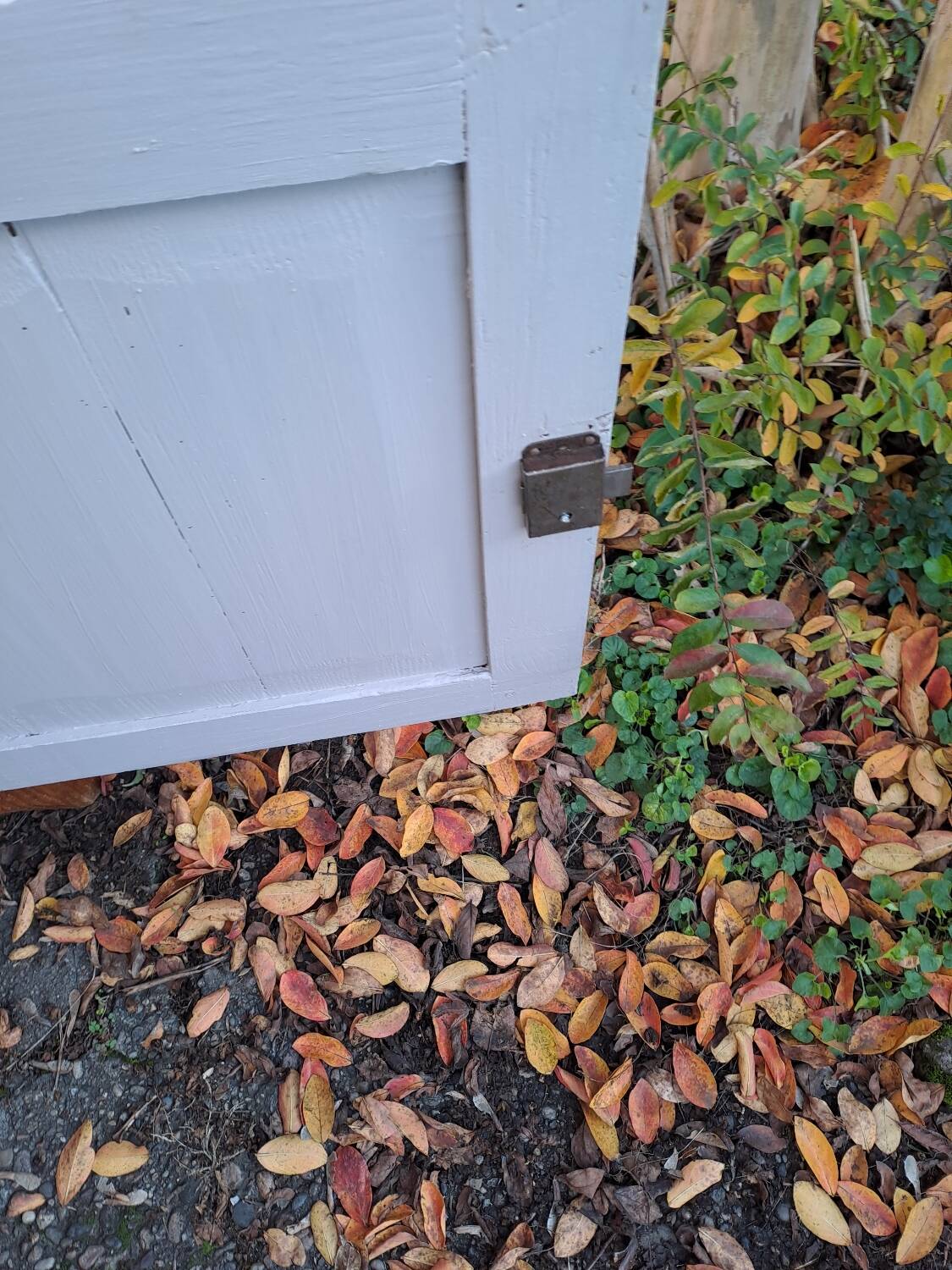 Parisian buffet from the 1930s