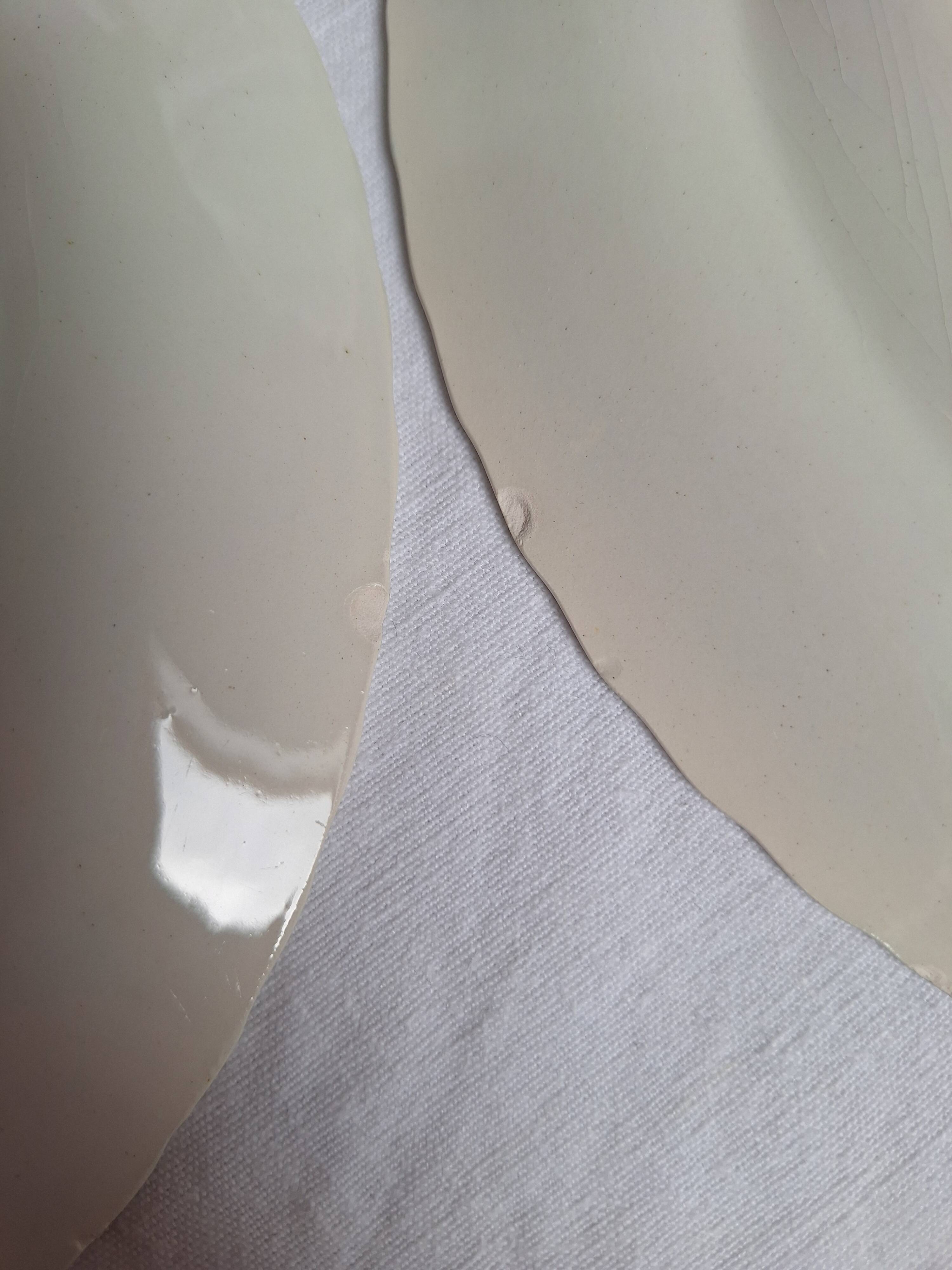 Blue vintage dinner plates