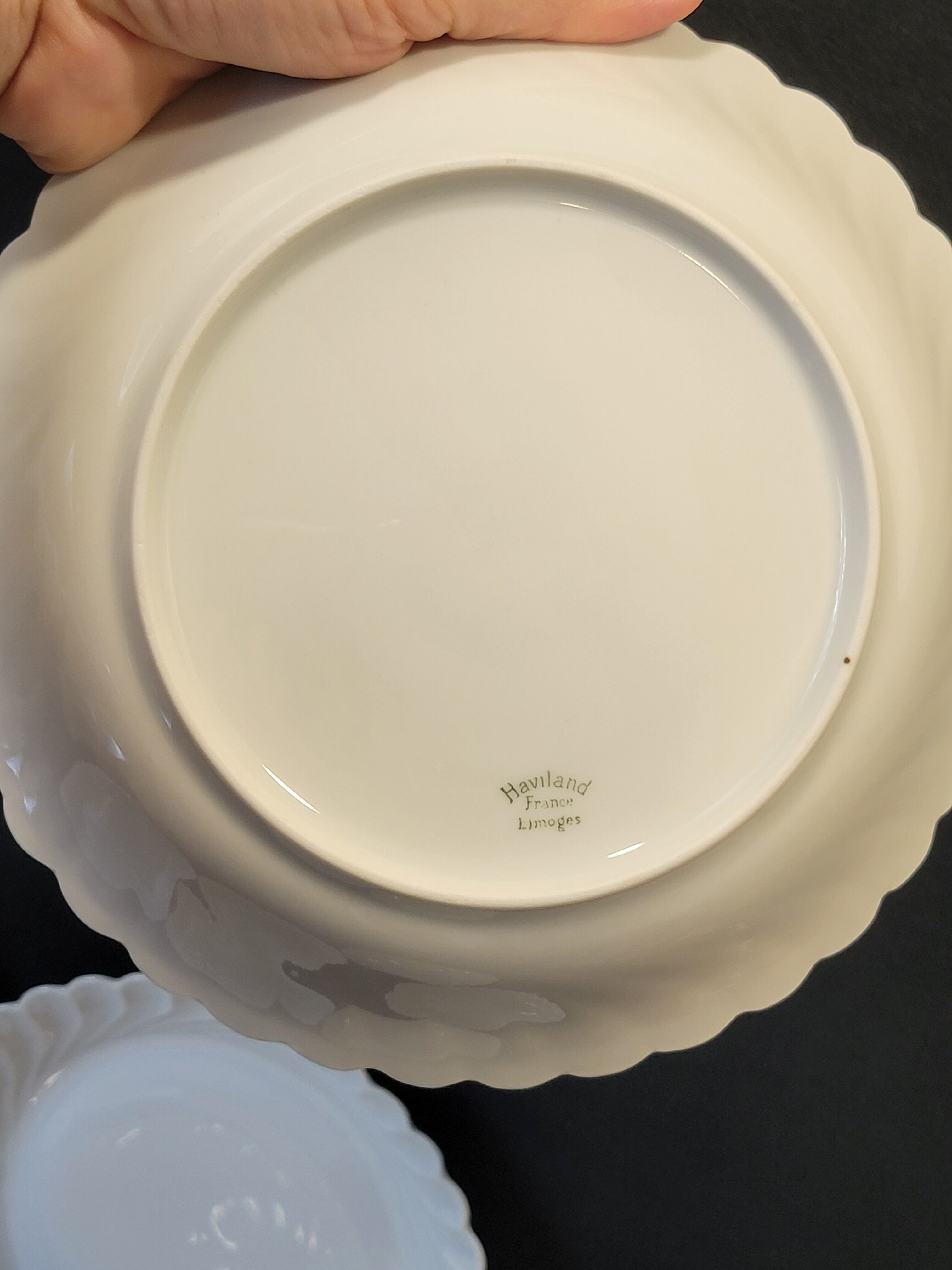 10 Haviland Torso Plates Diameter 19.5 Cm