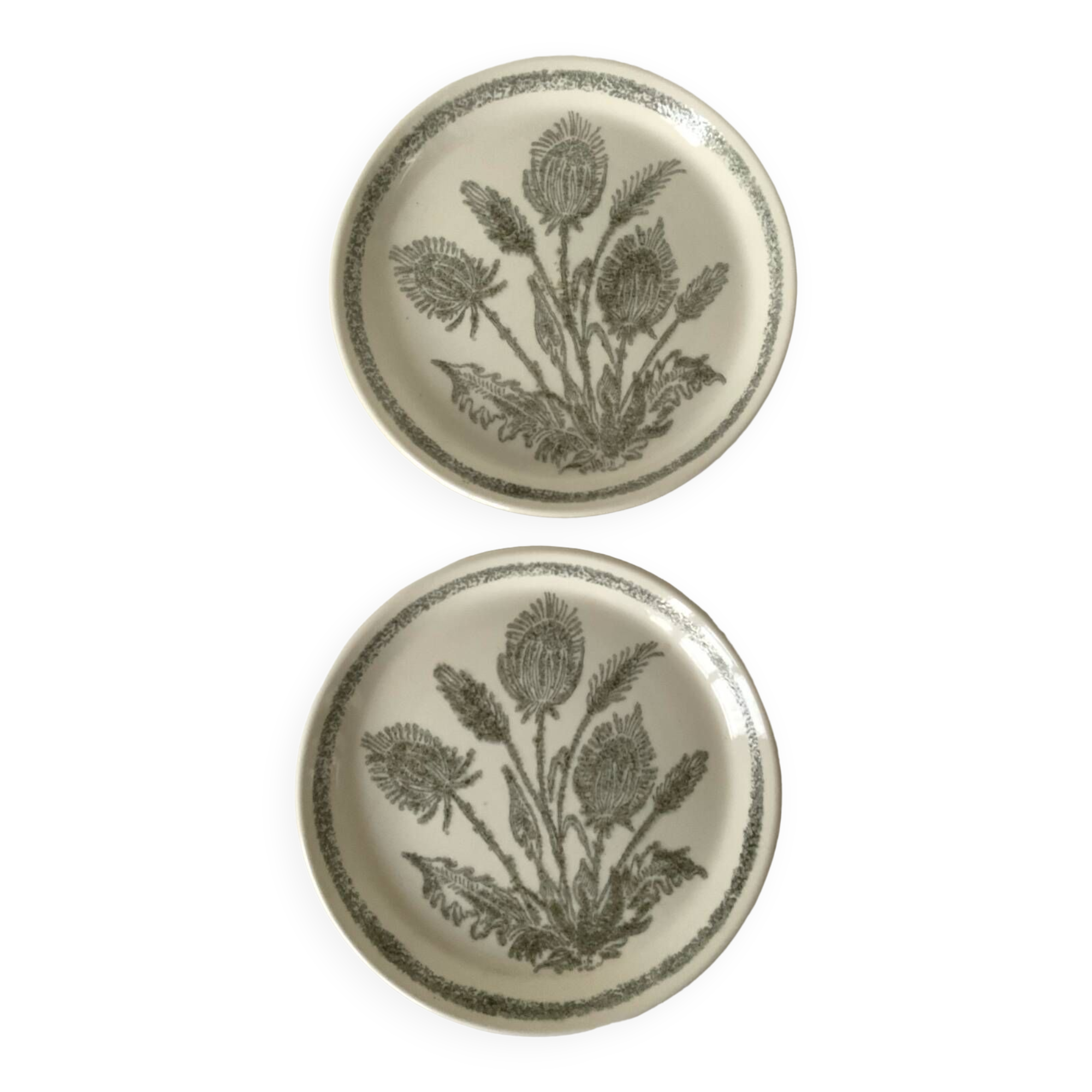 Duo of thistle plates