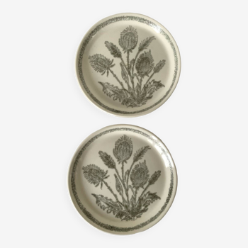 Duo of thistle plates