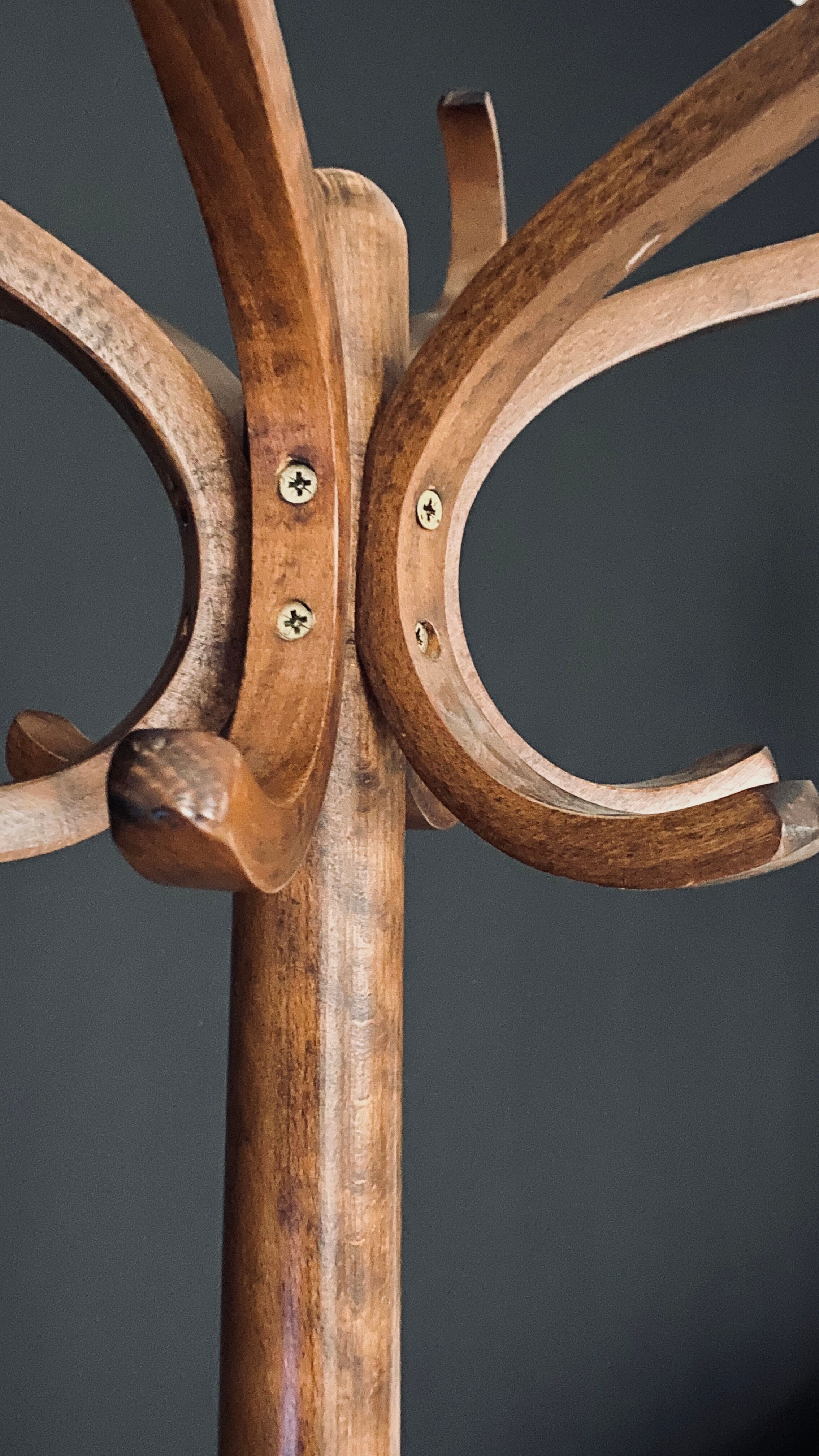 Baumann coat holder