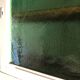 Antique wooden dresser