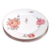 3 white porcelain dinner plates with a rose design and silver rim.
